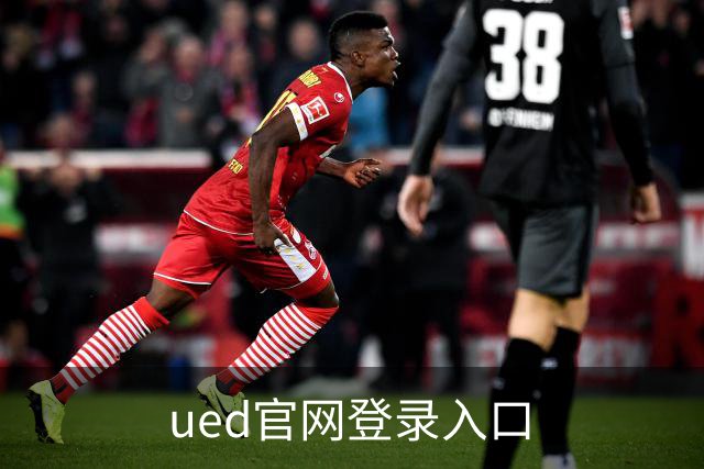 ued官网登录入口公司简介